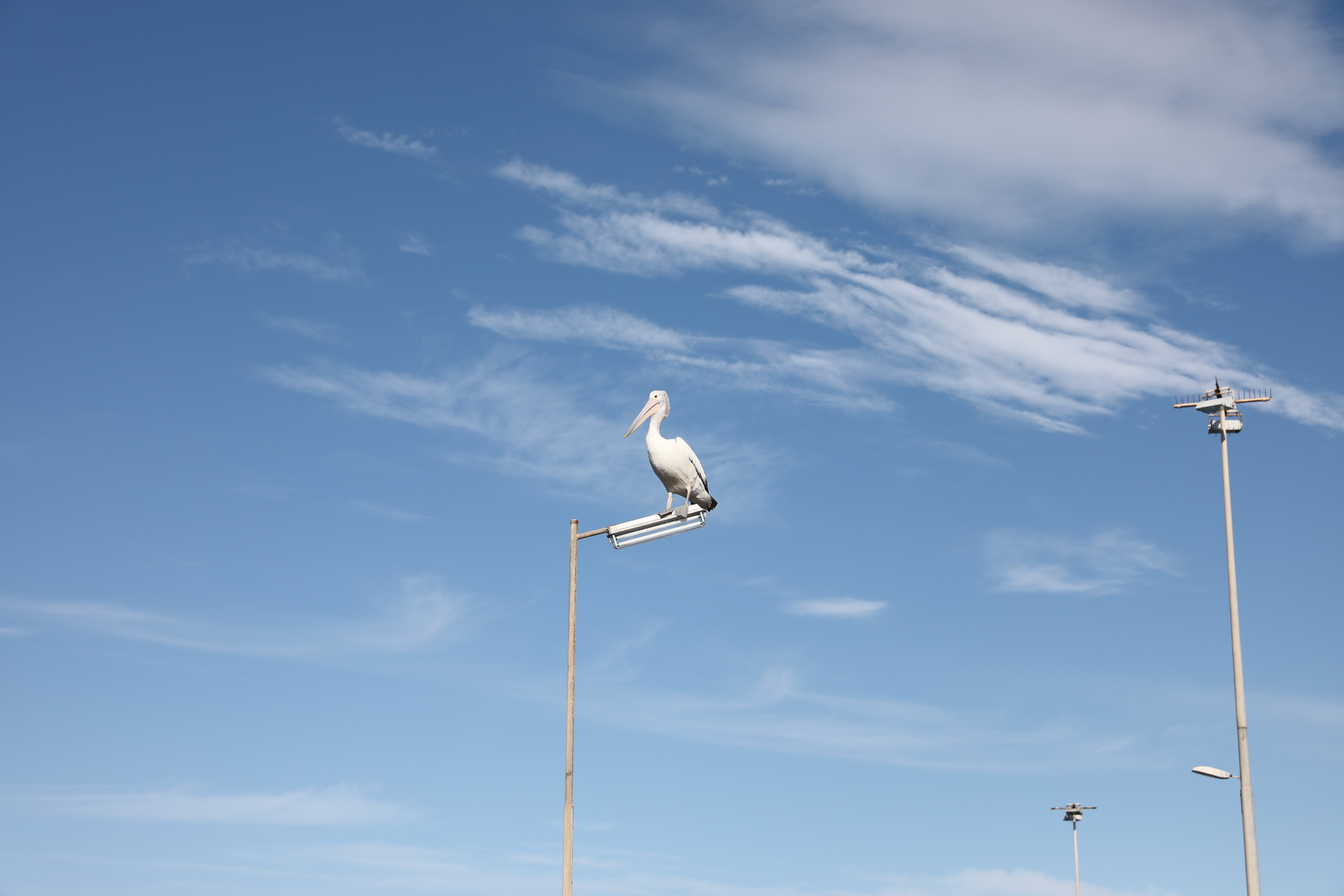 2019 10 03 16 07 54 Canon EOS 5D Mark IV 0009